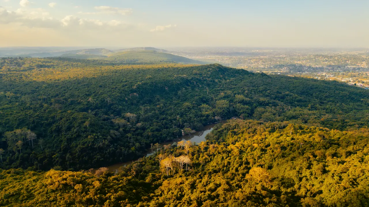 Pugu Hills Nature Forest