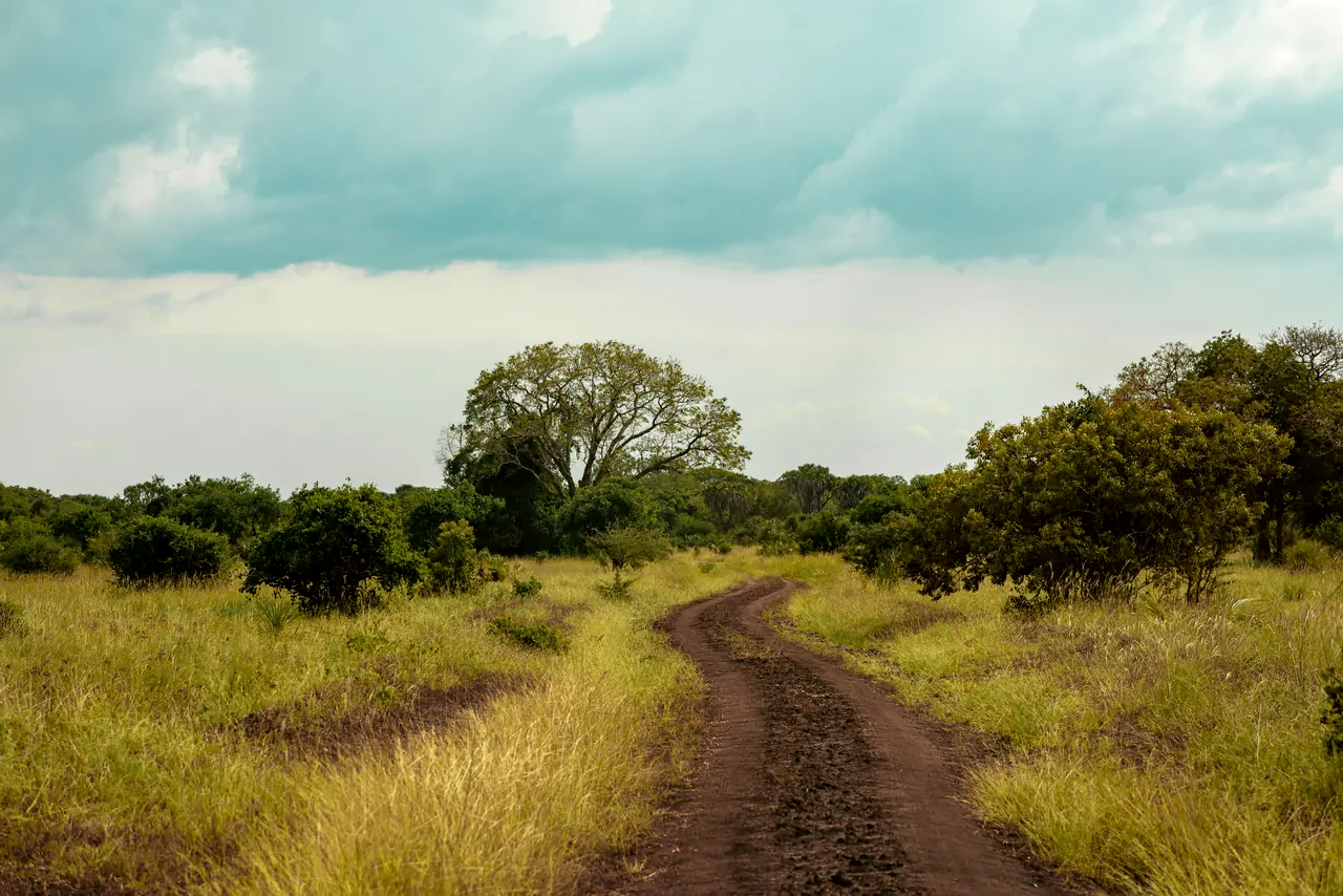 Saadani, Where the Bush Meets the Beach