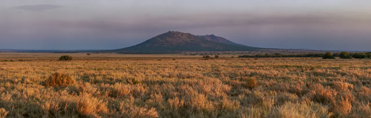 Serengeti & Ngorongoro Safari