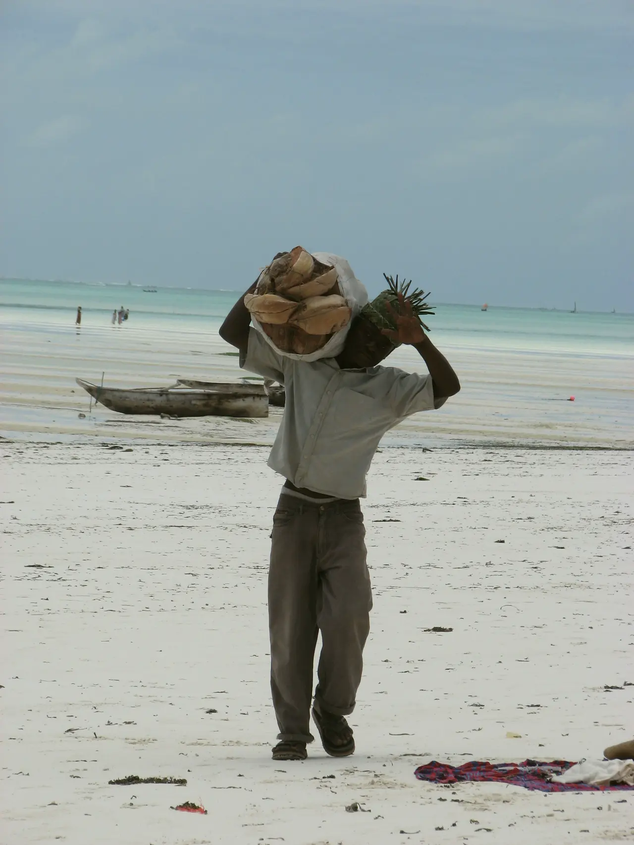 A fisherman carrying his catch on a Zanzibar beach